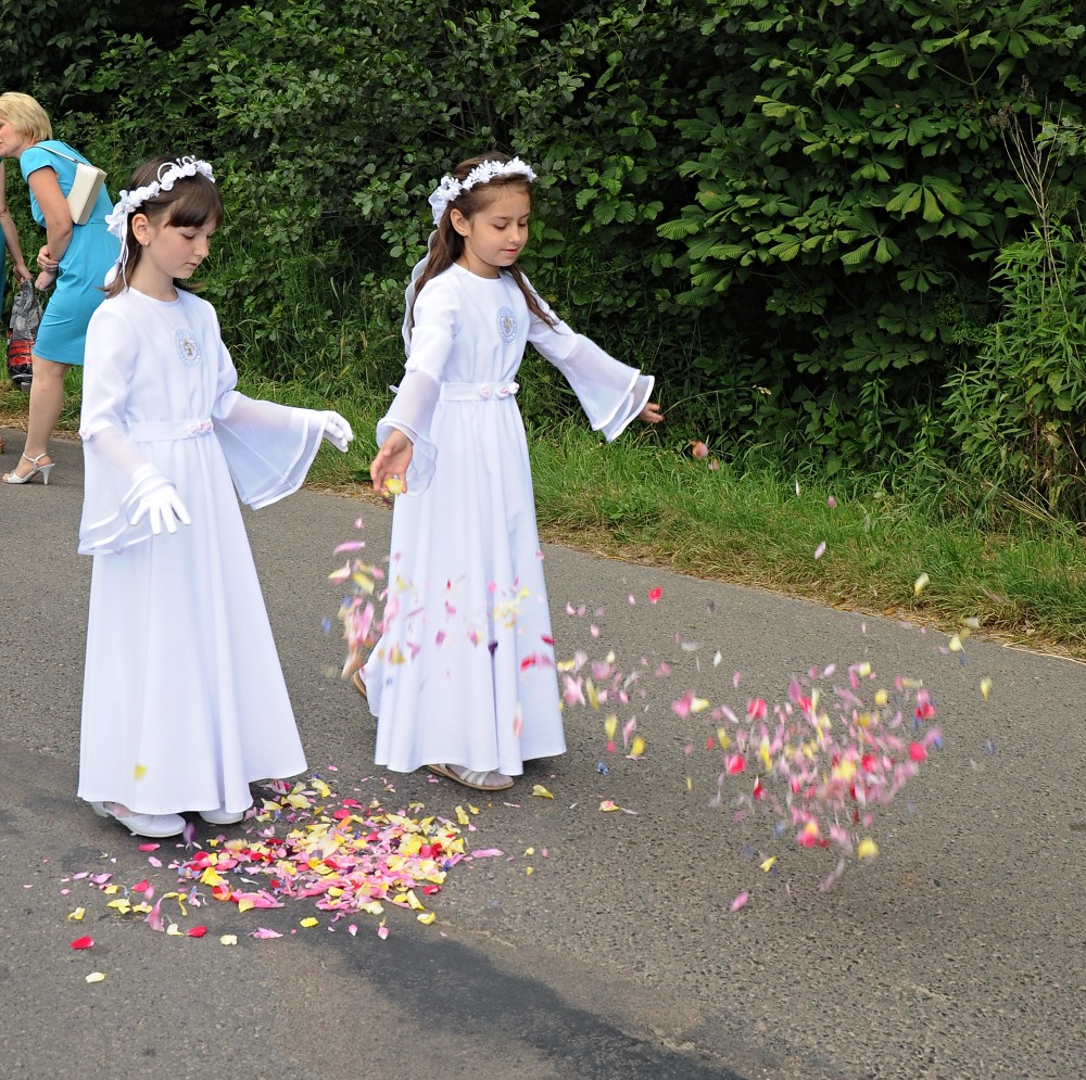 img00028.jpg