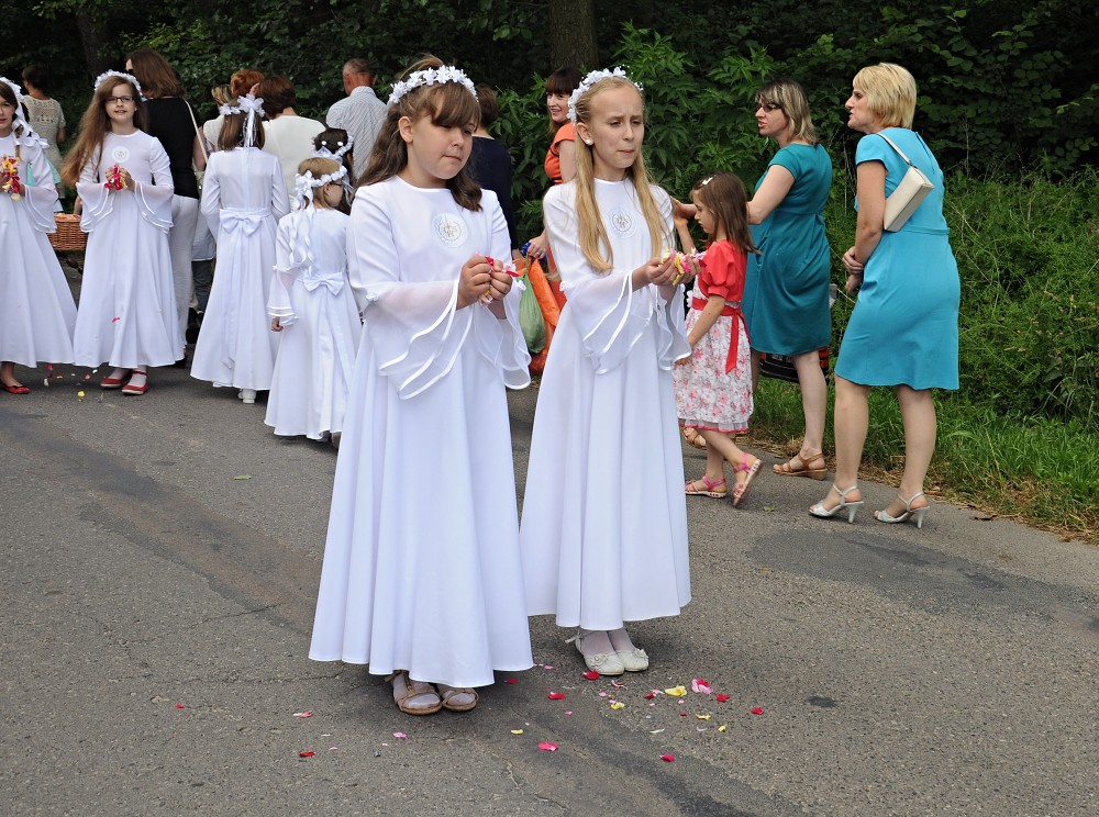 img00030.jpg