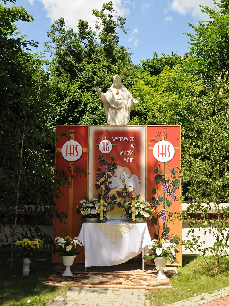 img00100.jpg