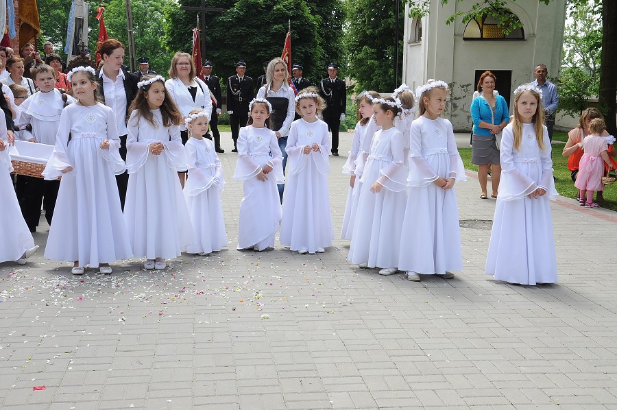 img00115.jpg