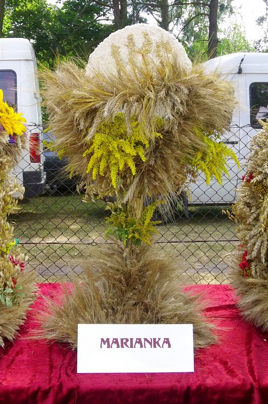 img00006.jpg