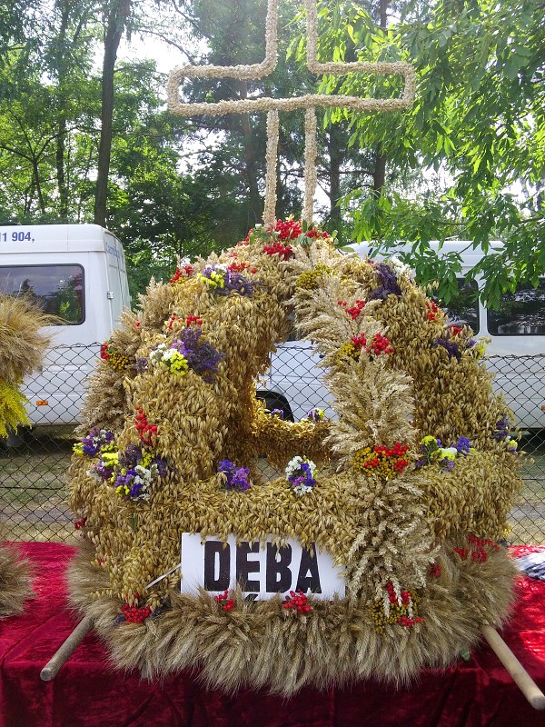 img00007.jpg