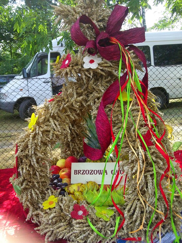 img00008.jpg