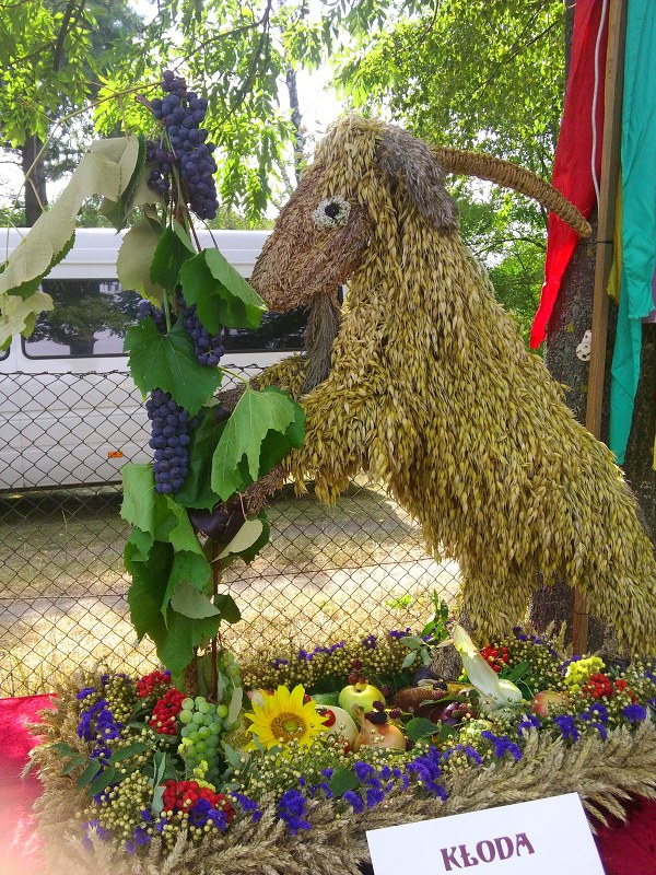 img00009.jpg