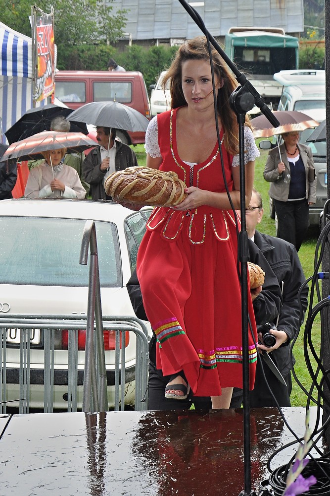 img00003.jpg