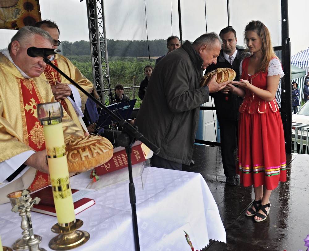 img00006.jpg