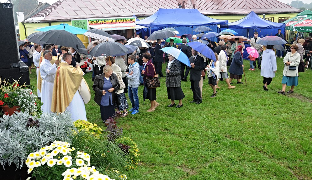 img00026.jpg