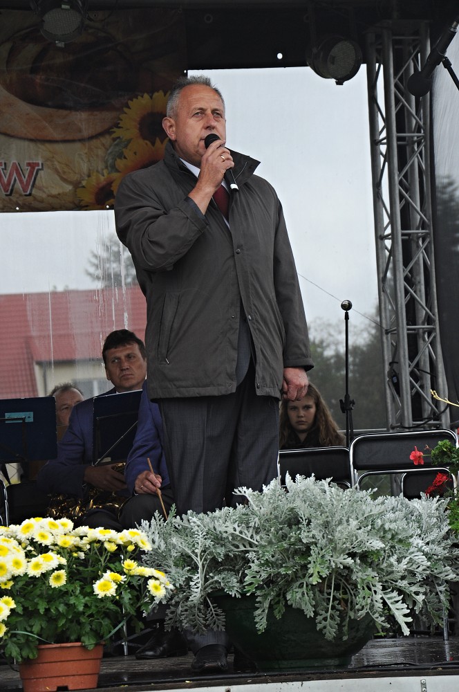 img00029.jpg