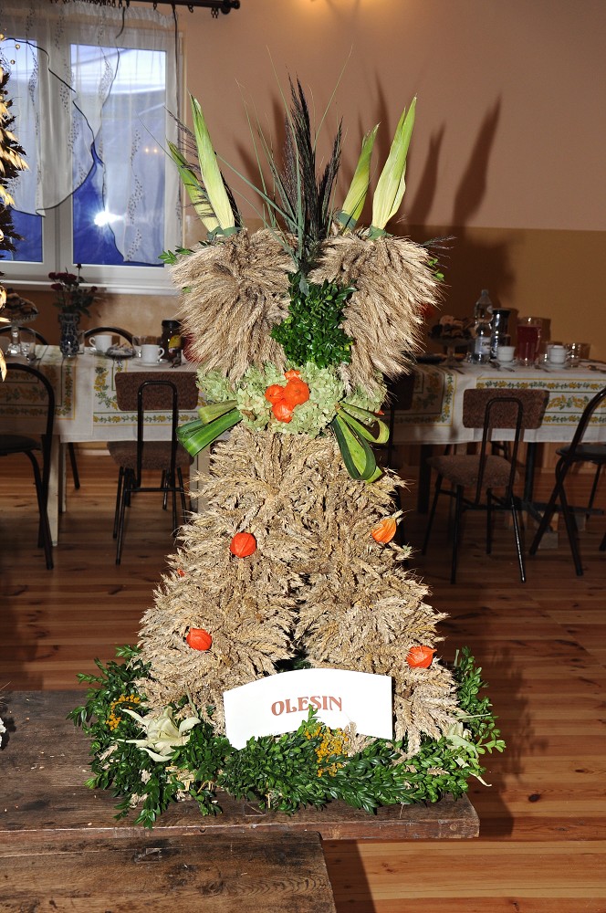img00037.jpg