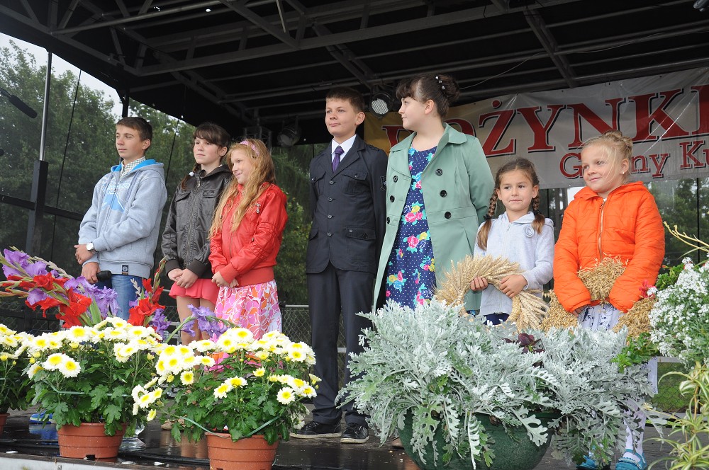 img00055.jpg