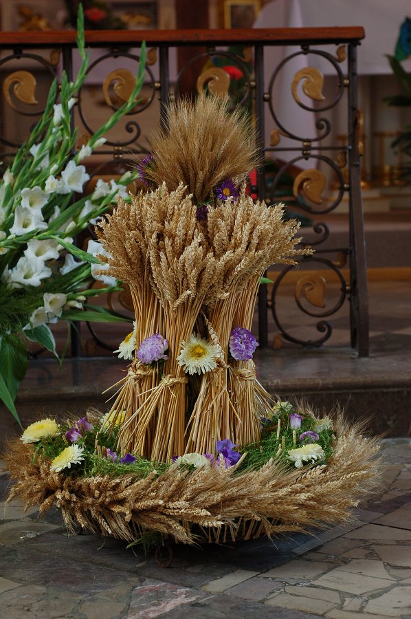 Do�ynki Parafialne - Klementowice, 2010-08-28