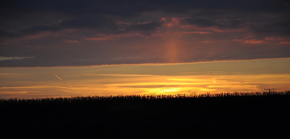 img00031.jpg