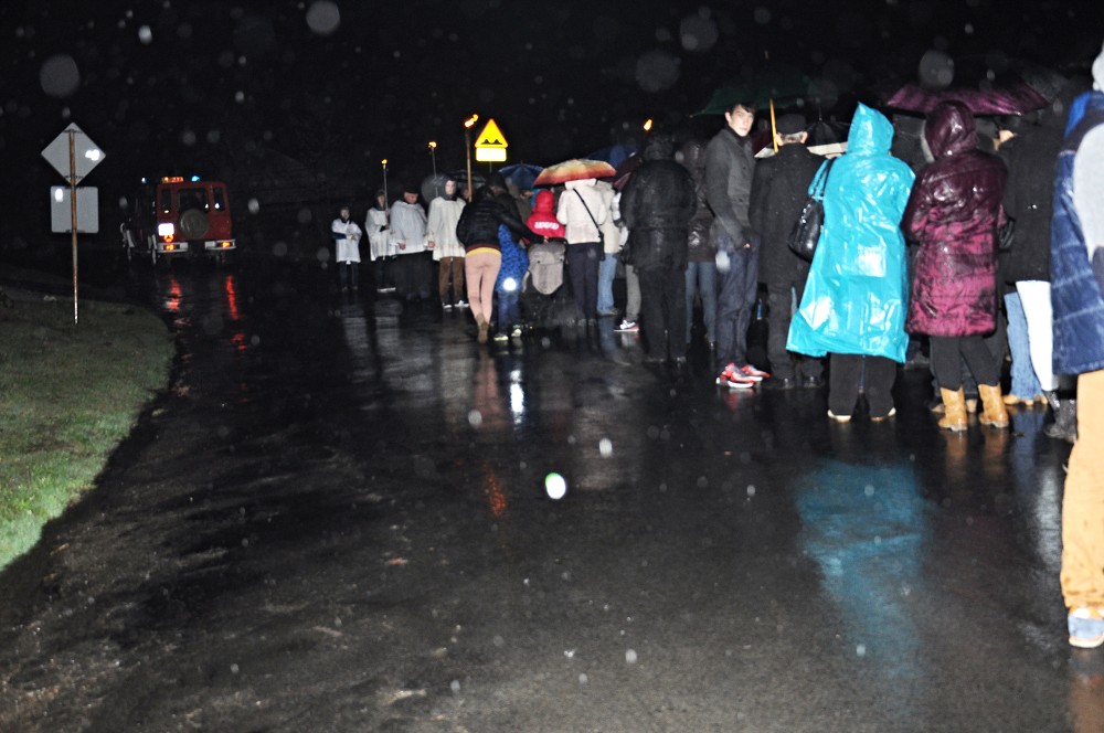 img00016.jpg
