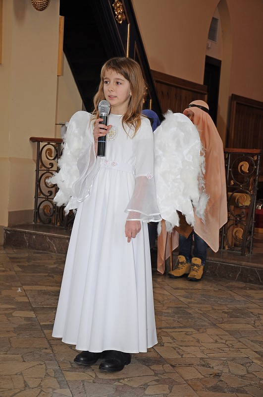 img00008.jpg