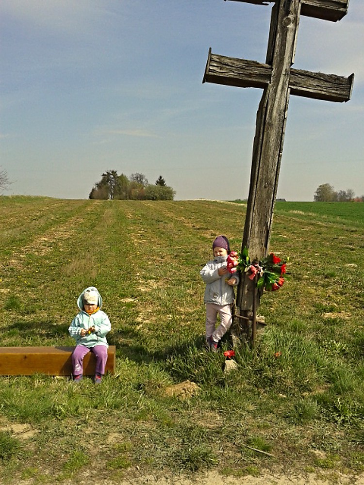 img00003.jpg