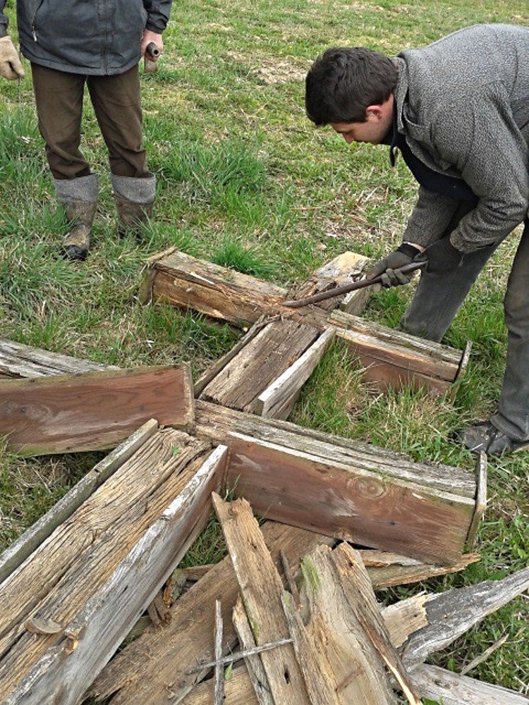 img00019.jpg