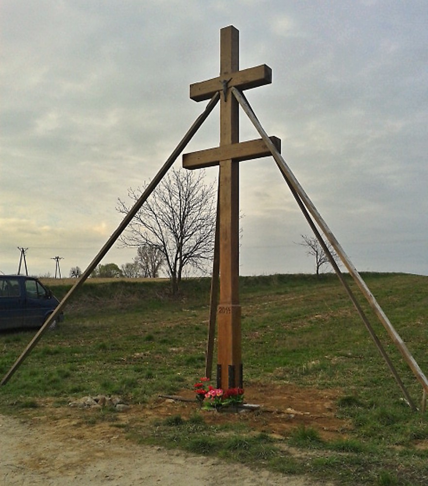 img00100.jpg
