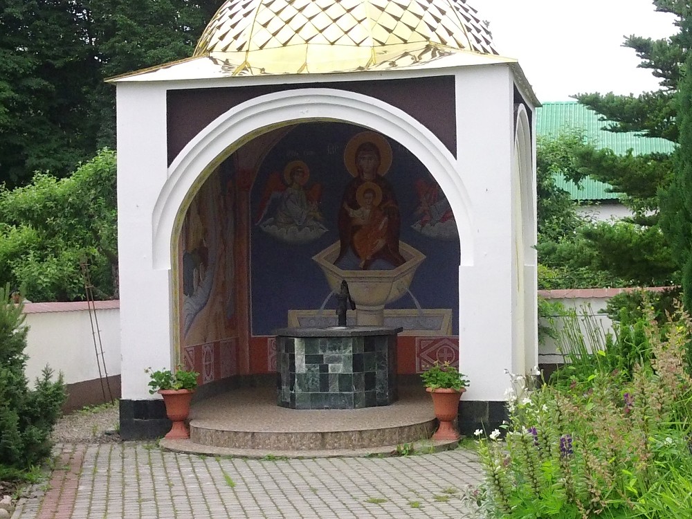 img00006.jpg