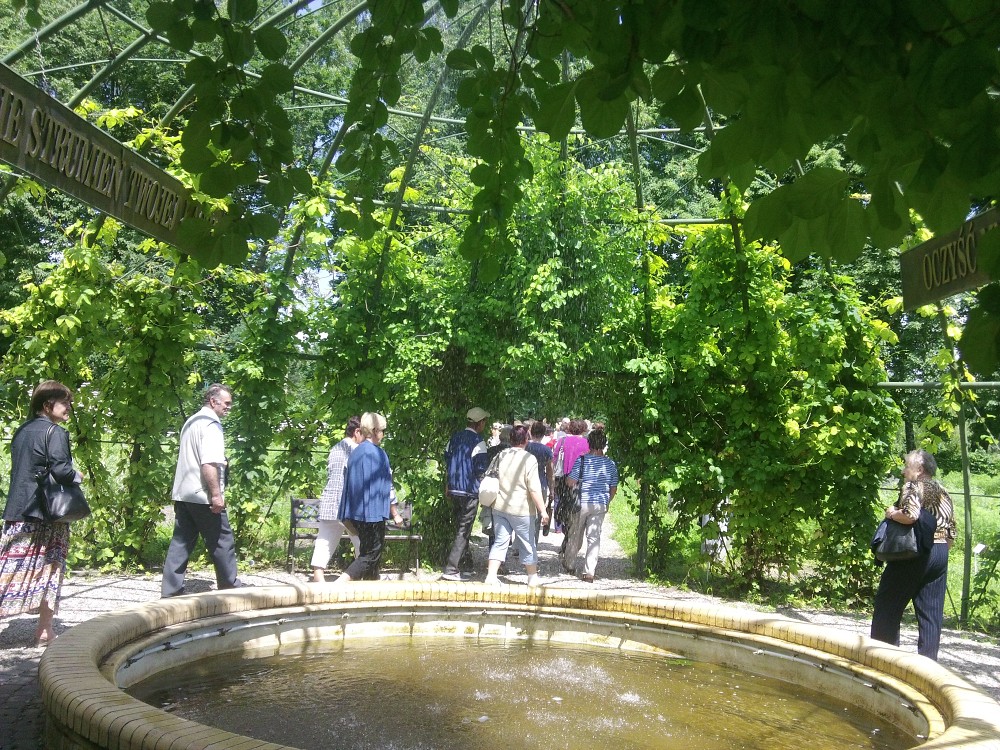 img00049.jpg