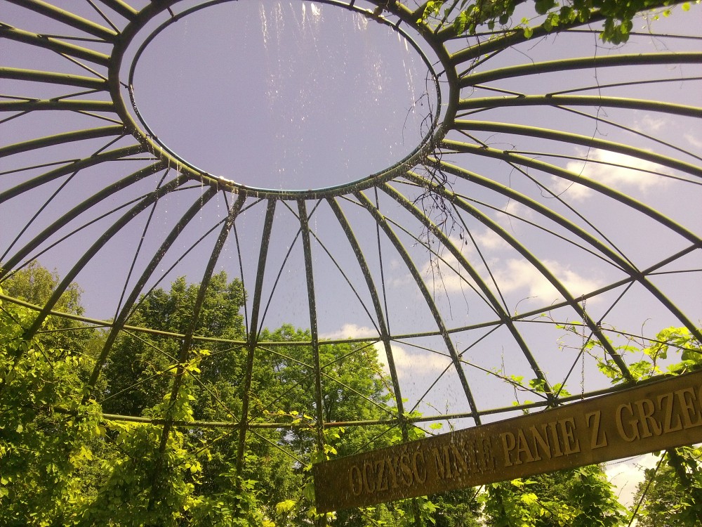 img00050.jpg