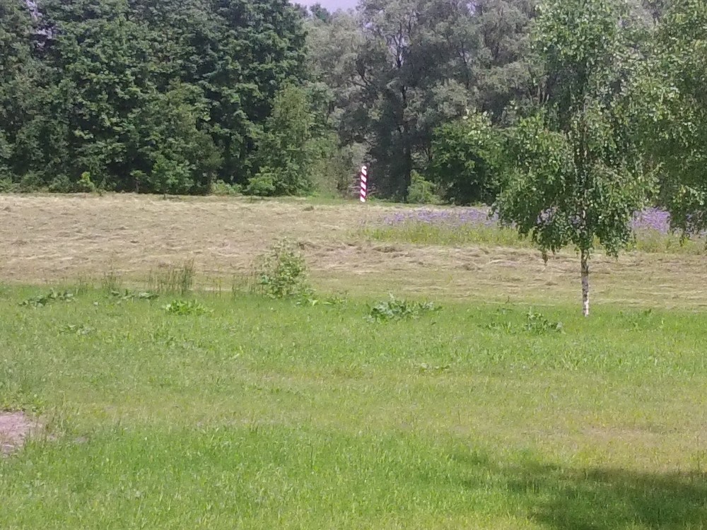 img00052.jpg
