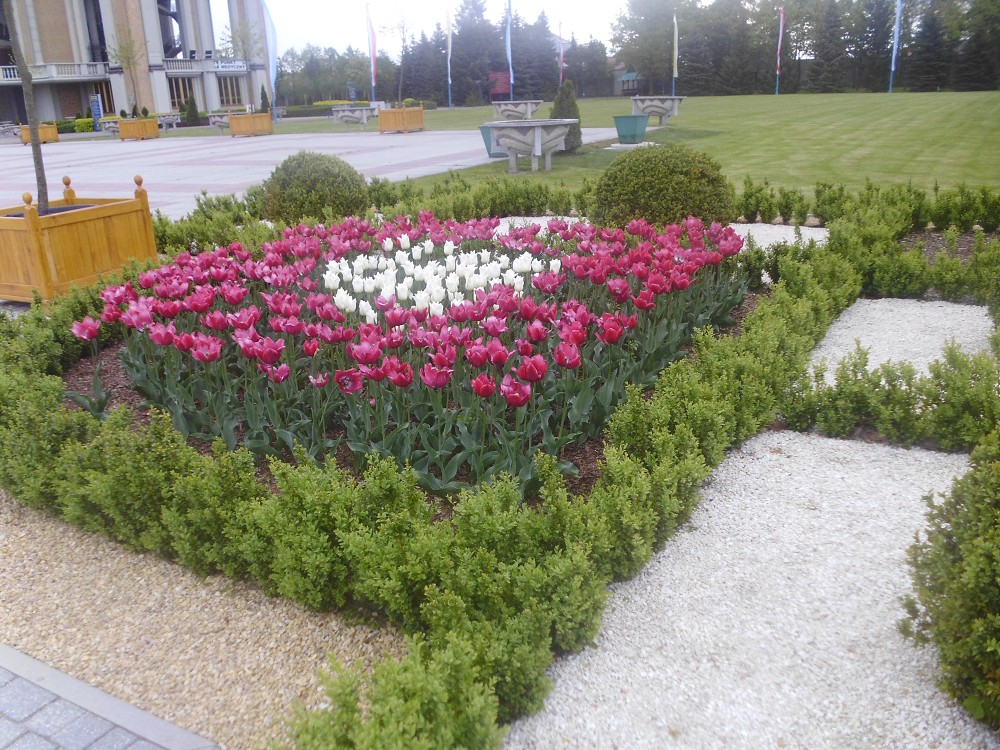 img00010.jpg