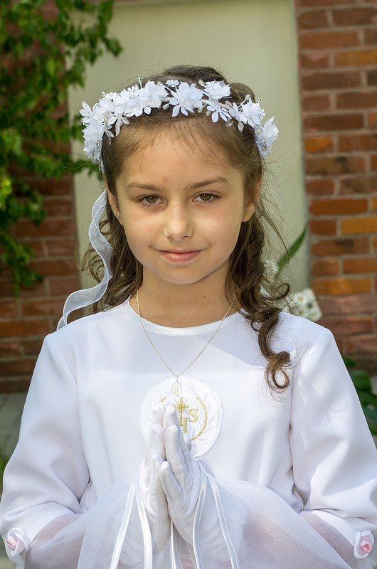 img00119.jpg