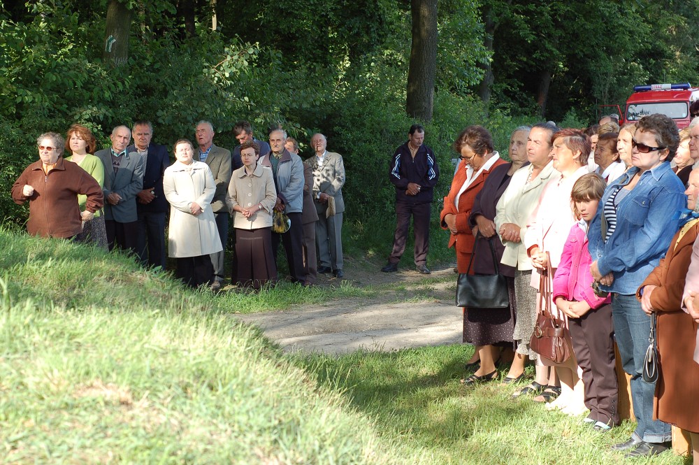 img00033.jpg