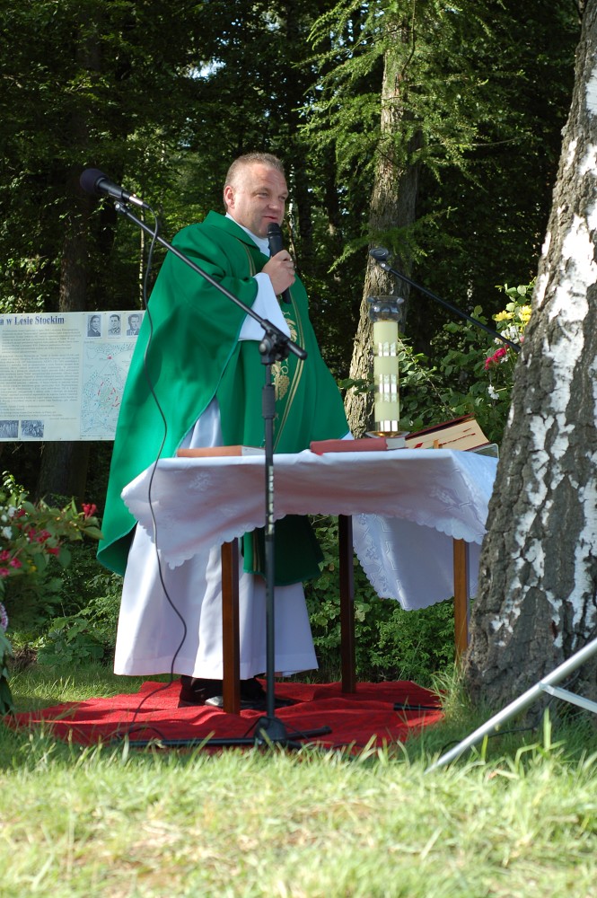 img00037.jpg