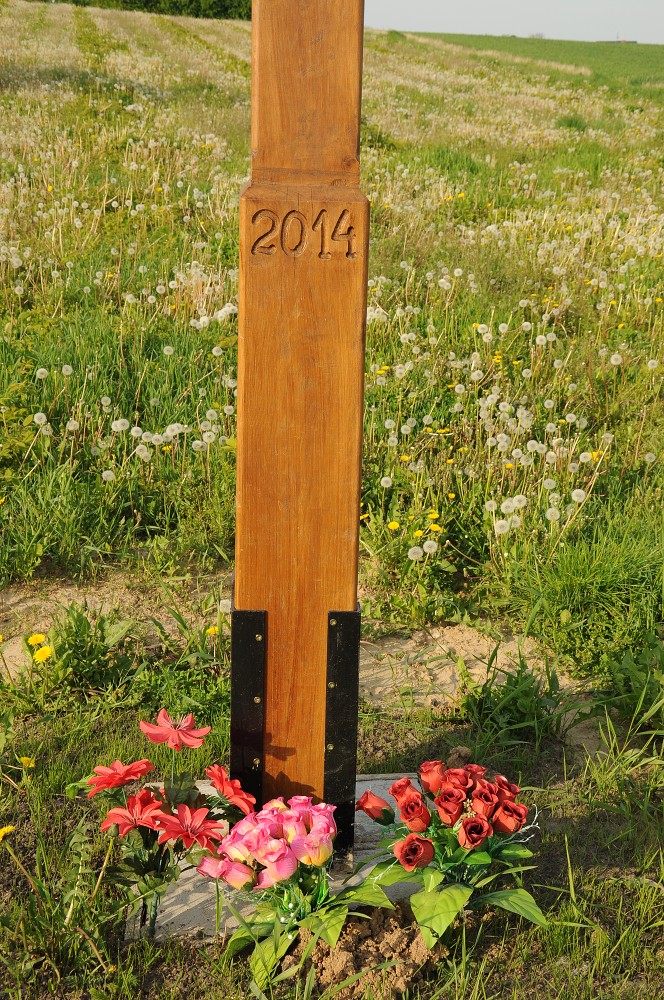 img00006.jpg