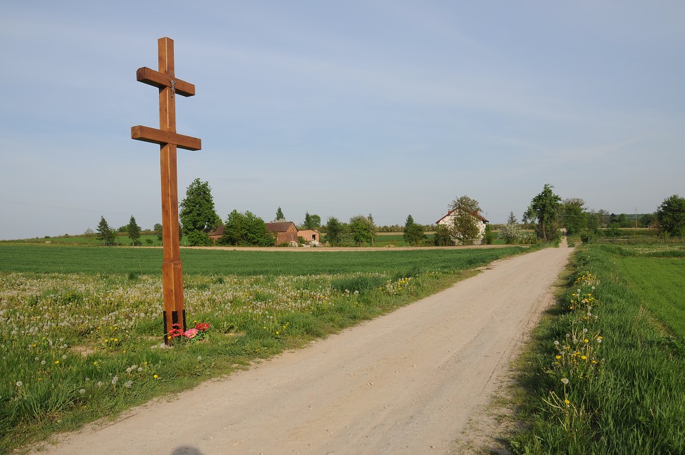 img00007.jpg