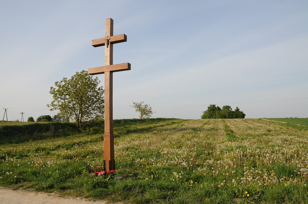img00008.jpg