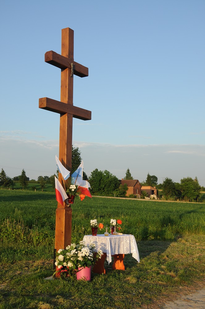 img00010.jpg