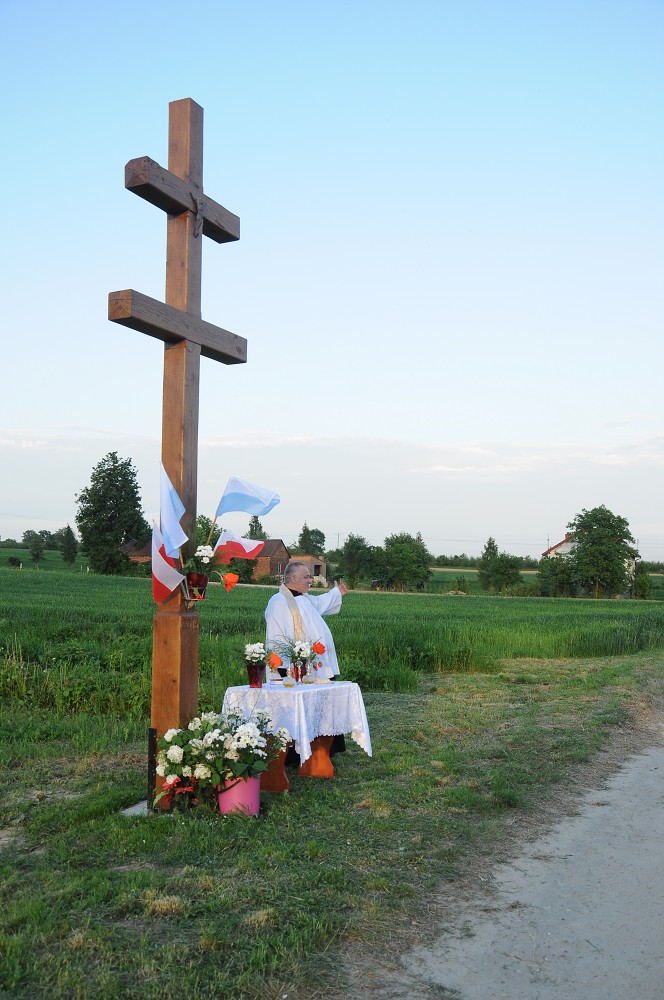 img00026.jpg