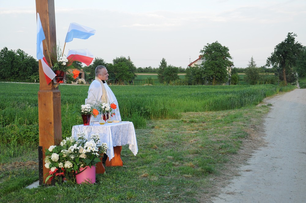 img00027.jpg