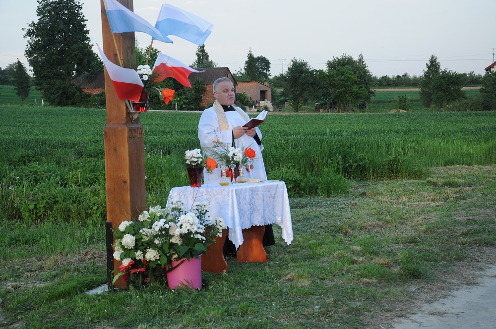 img00030.jpg