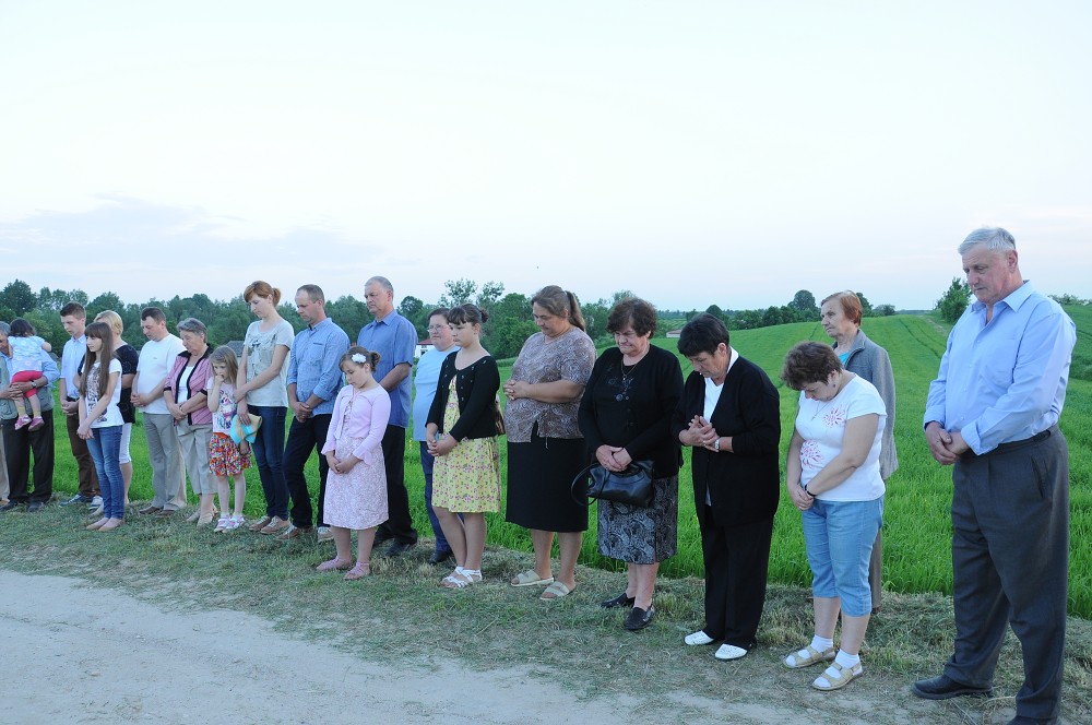 img00046.jpg