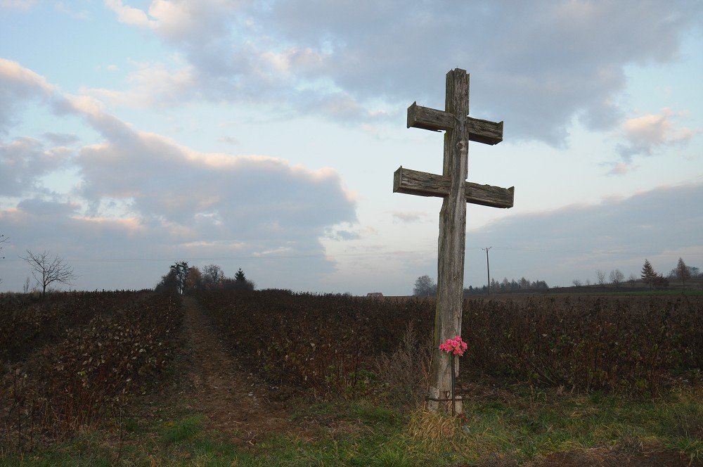 img00060.jpg