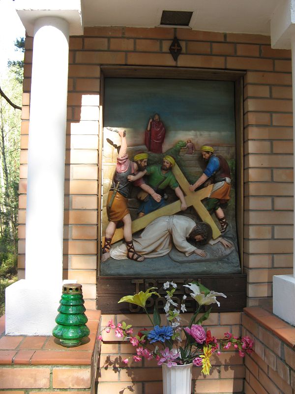 Pielgrzymka >> G�rki & Mi�tne 2009.04.25