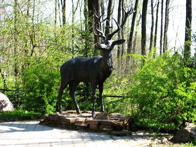 Pielgrzymka >> G�rki & Mi�tne 2009.04.25